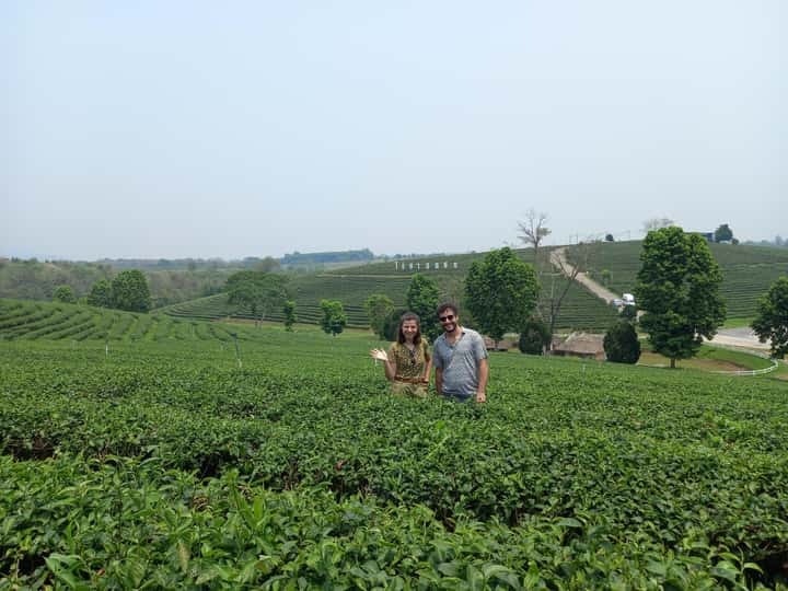 0aa105839f968eb097f5c40c07fff93f