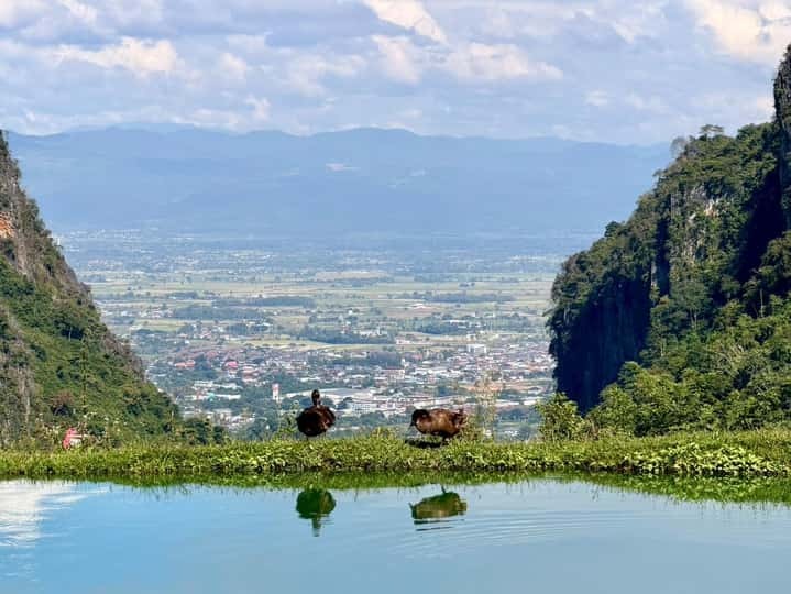 13b378035b96f0225d4446d70527035e