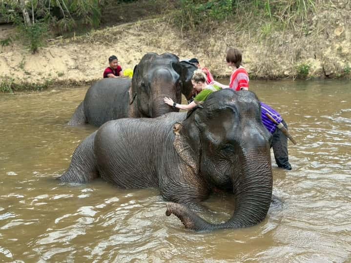 21ec62e81fd8cd09e476ecbd7a6adddf