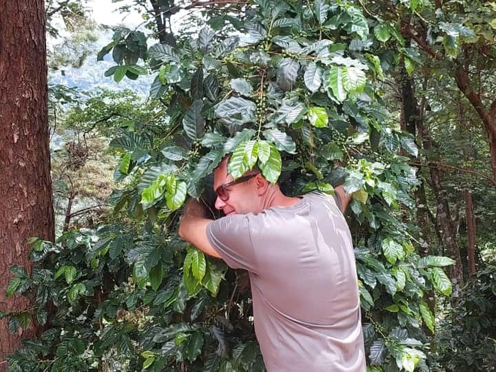 2b64d906a8dc370ef37b9d04e3f0ca57