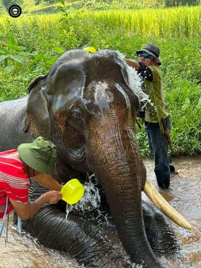 38afda930767b46c20d5c38605ccb55f