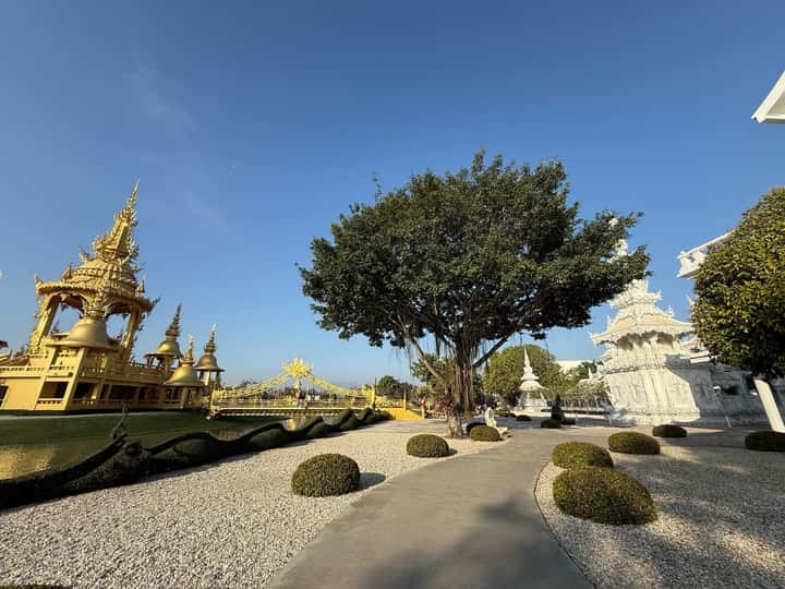 3de0905413d209cdbe09ba1ae4b08bc1