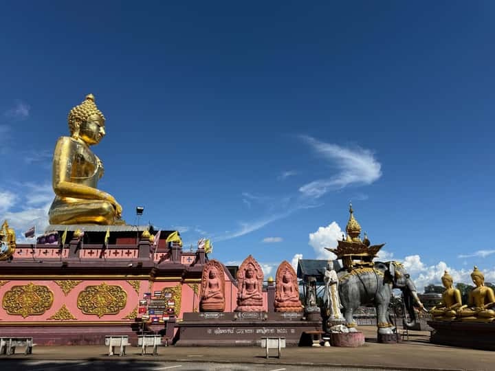 629bf4c9574ed5c38b79f41c6ac7c13f