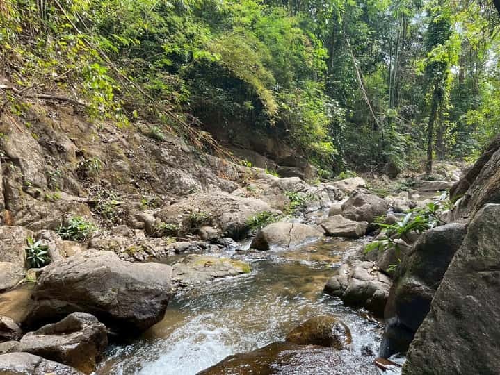 66b3881defa80d74bbeeac996437e4cb