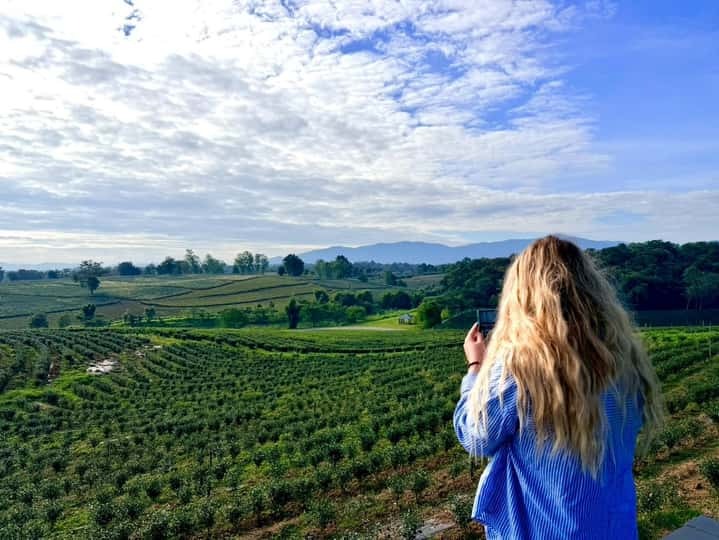 68a8dd4c22c0d193d07537ce02313b1e