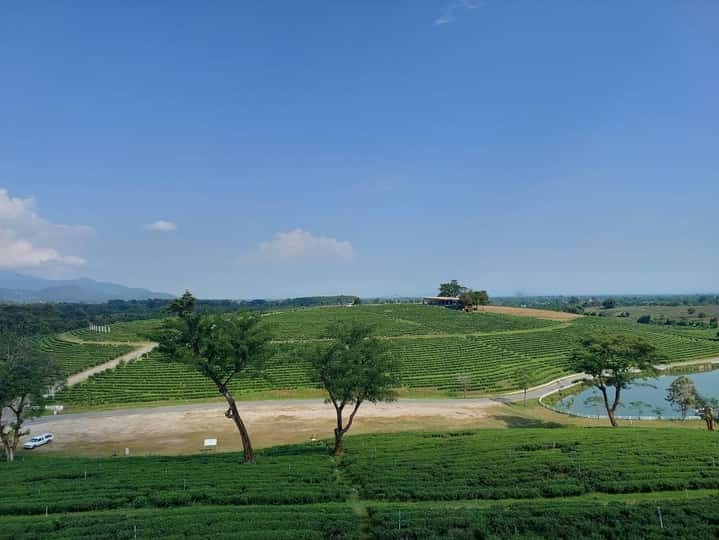 69f9771f33065c0f7baf5b74bb41d362