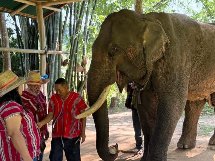 79a262ac7c5f315fb1f367e3f11e1b24