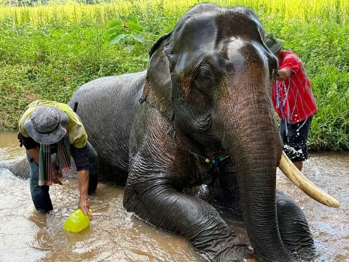 79f1ff4b55aafd9b482081881db4c05a