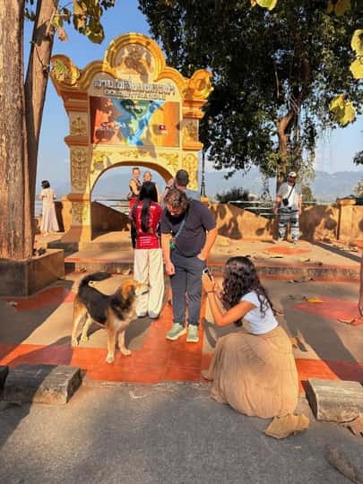 7f771929316460729b0b10519f55822c