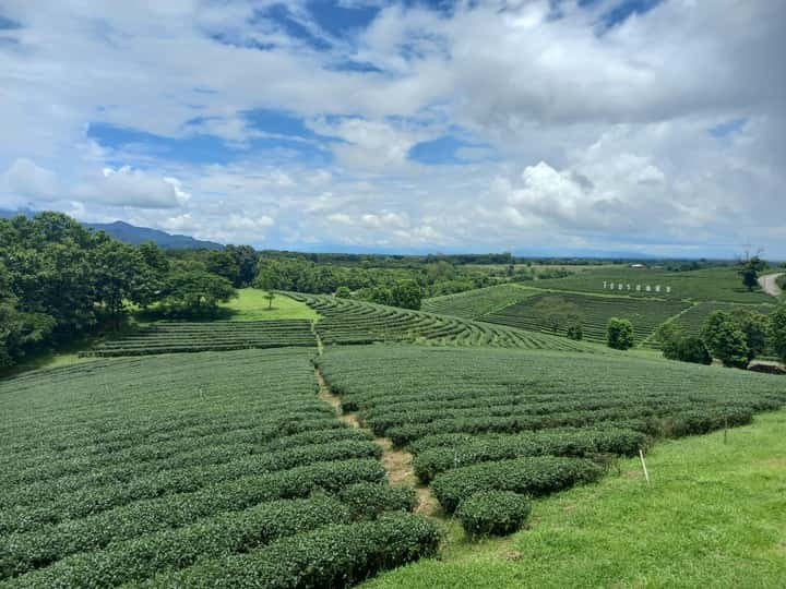 865218b2ada33c0c10112c1a5c30b04f