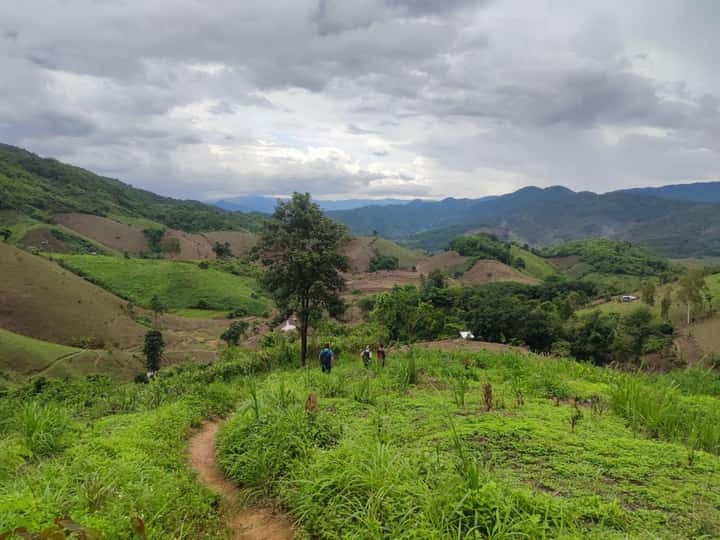 88842d2777075a48598ef2489cade205