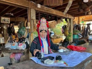 Chiang Rai: Akha Culture, Tribes, Waterfall & Big Buddha