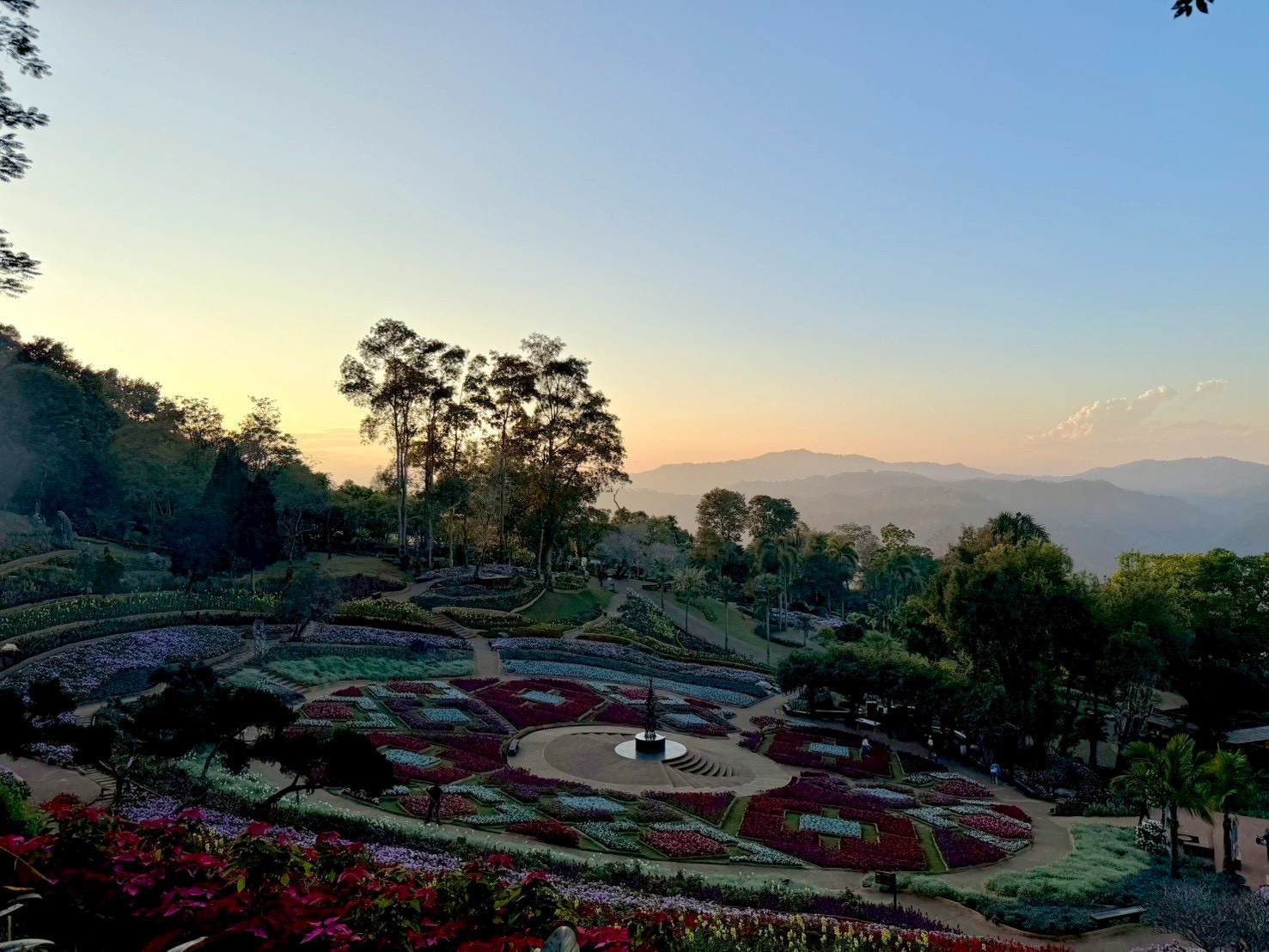 LINE_ALBUM_1 Day Tour Doi Tung_ Doi Mae Salong_260129_21