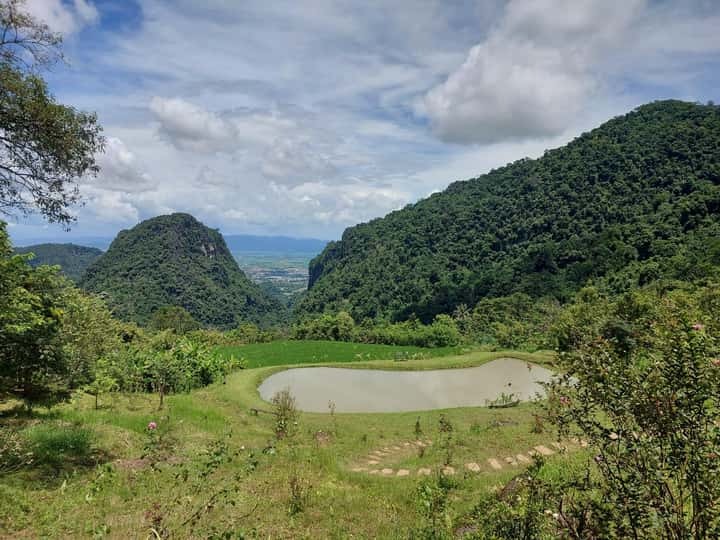 c52eef656df266d418167d440d5a226c