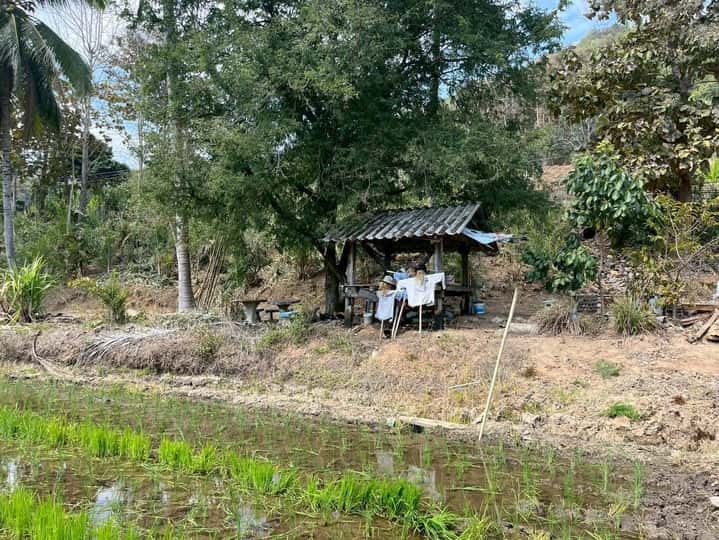 ce6937d4e34be3f87c2cd850a413621d