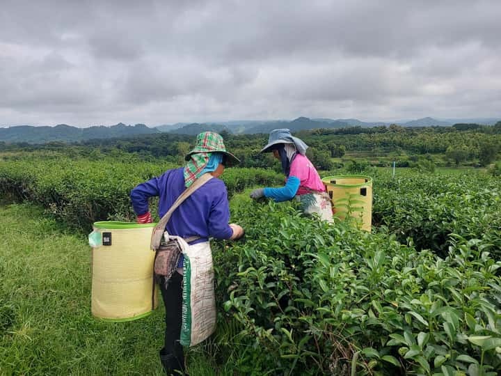 e84ac14c791c0a8fd01e6842112ae03a