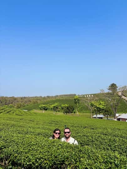 ee7cbf5d8d5e213e7bce7b23c79ba07a