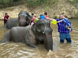 Chiang Rai: Heart to Heart Elephant Sanctuary Half Day Visit