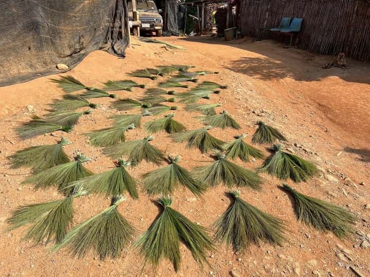 f5b0f61f0e454827e32434daf88e093e